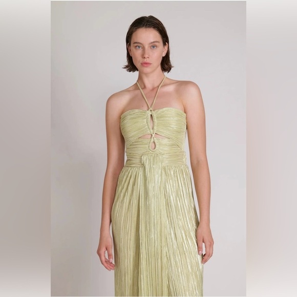 Sabina Musayev Tops - NWT Sabina Musayev - Dixie Top